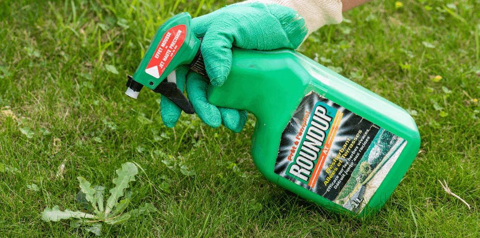 RoundUp Lawsuit